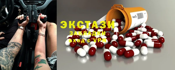 гашик Алексин