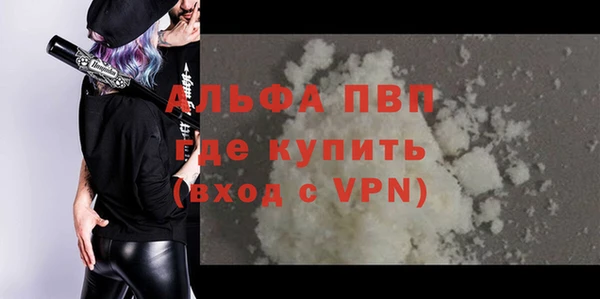 сатива Алзамай