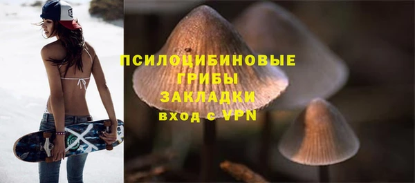 сатива Алзамай