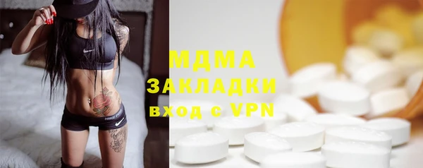 гашик Алексин