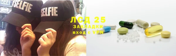 гашик Алексин