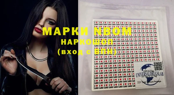 гашик Алексин