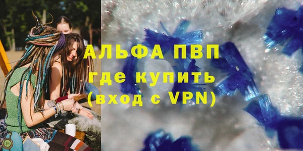 гашик Алексин
