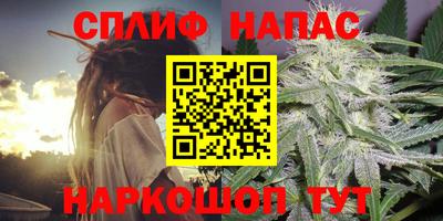 твердый Камышлов