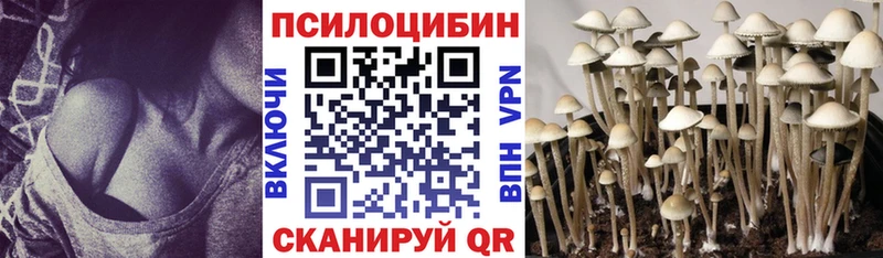 Псилоцибиновые грибы Cubensis  Луга 