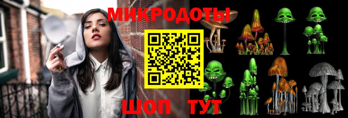 Псилоцибиновые грибы мицелий Луга